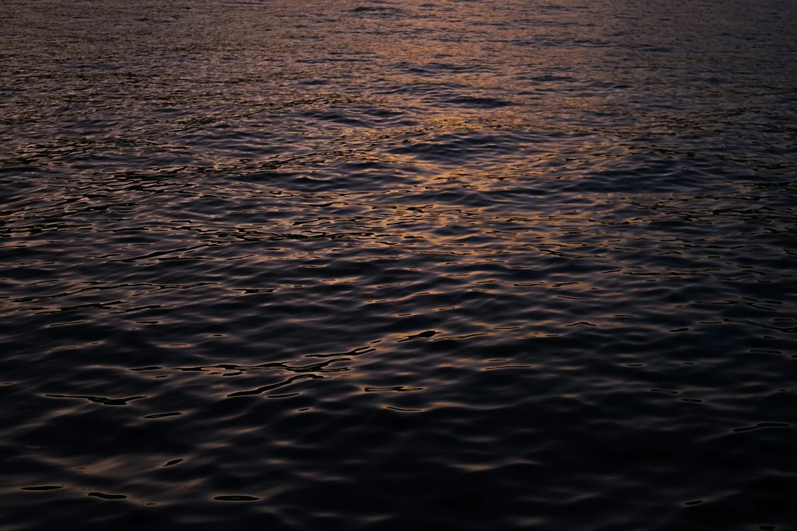 Gentle ripples on a calm water surface